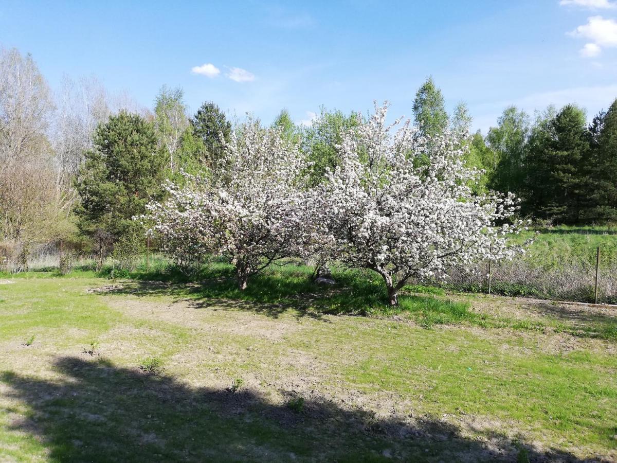 Apartmán Przystanek Kozia Gora Exteriér fotografie